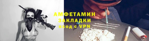 прущие грибы Покров