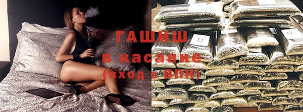 прущие грибы Покров