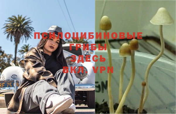 тгк Абдулино