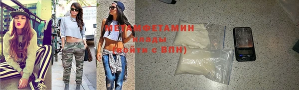 прущие грибы Покров