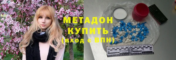 прущие грибы Покров