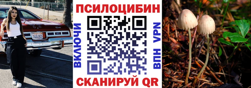 цена   Гагарин  Галлюциногенные грибы Psilocybine cubensis 